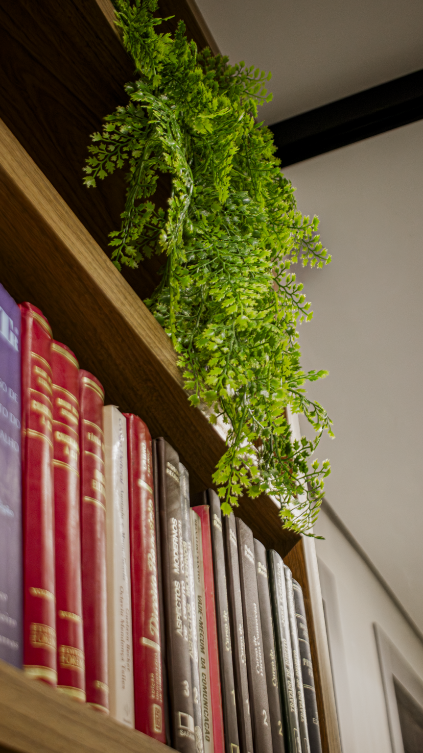 Ambiente interno do escritório com planta
